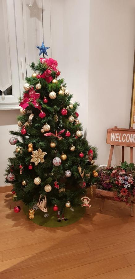 Casa Garofoli Apartment ฟรัสกาตี ภายนอก รูปภาพ